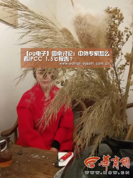 pg电子试玩