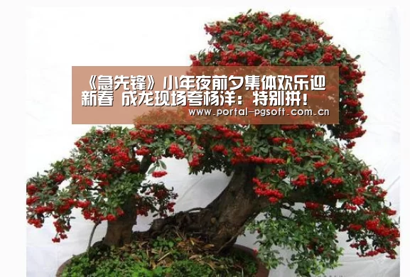 《急先锋》小年夜前夕集体欢乐迎新春 成龙现场夸杨洋:特别拼!“PG Soft”(图2) PG电子下载