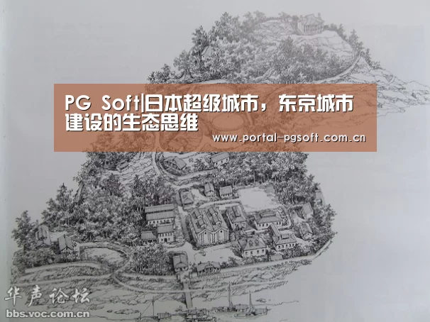 pg电子试玩